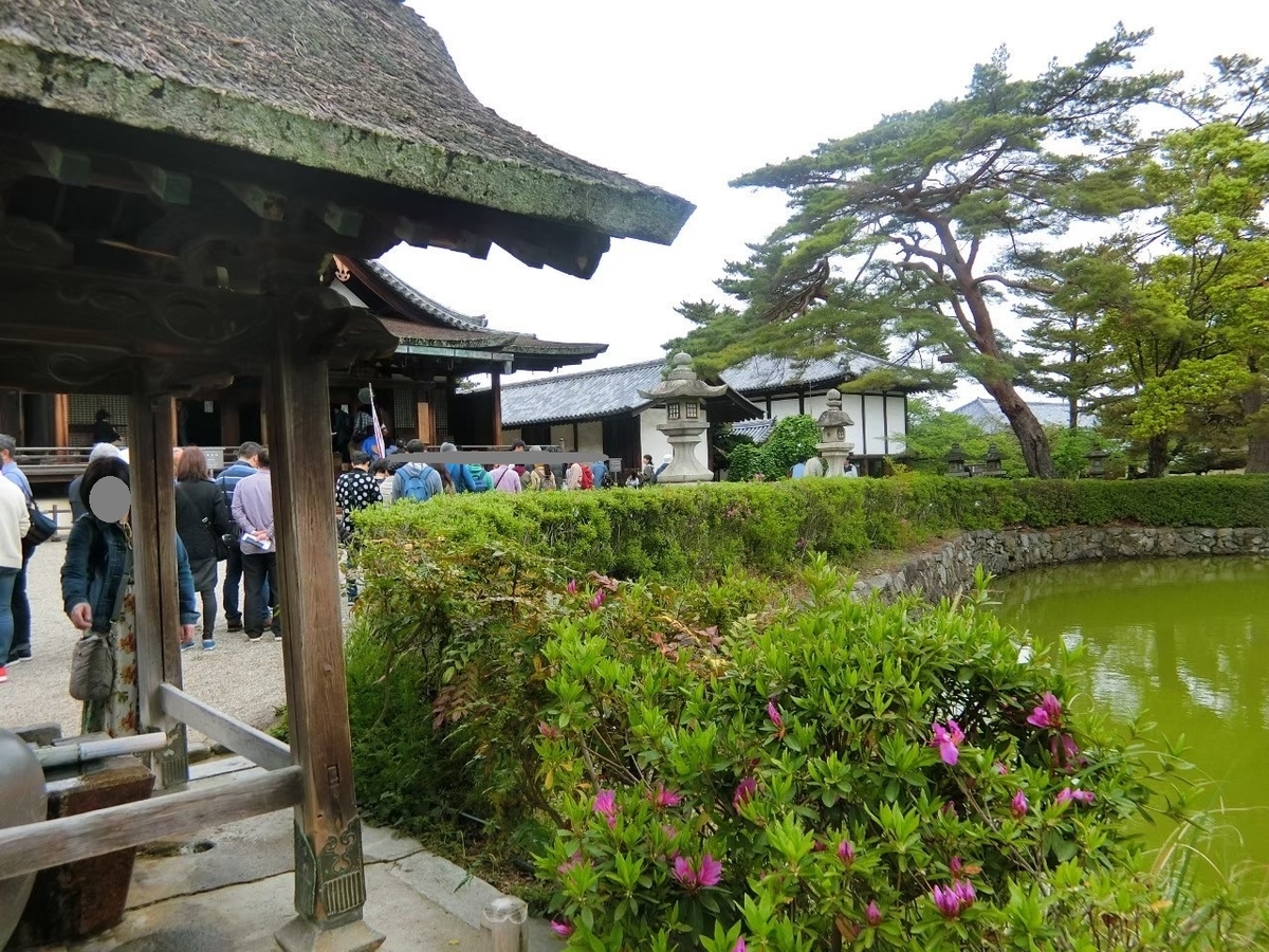 f:id:aringo_travel:20210107094643j:plain