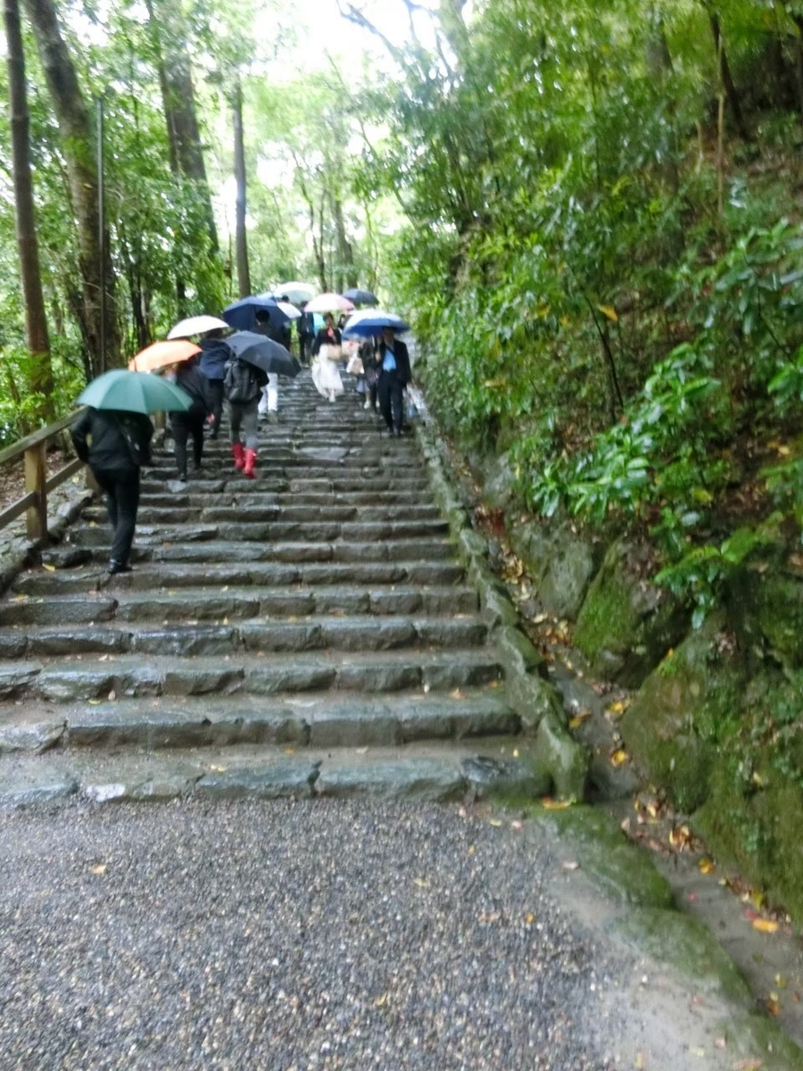 f:id:aringo_travel:20210120232242j:plain