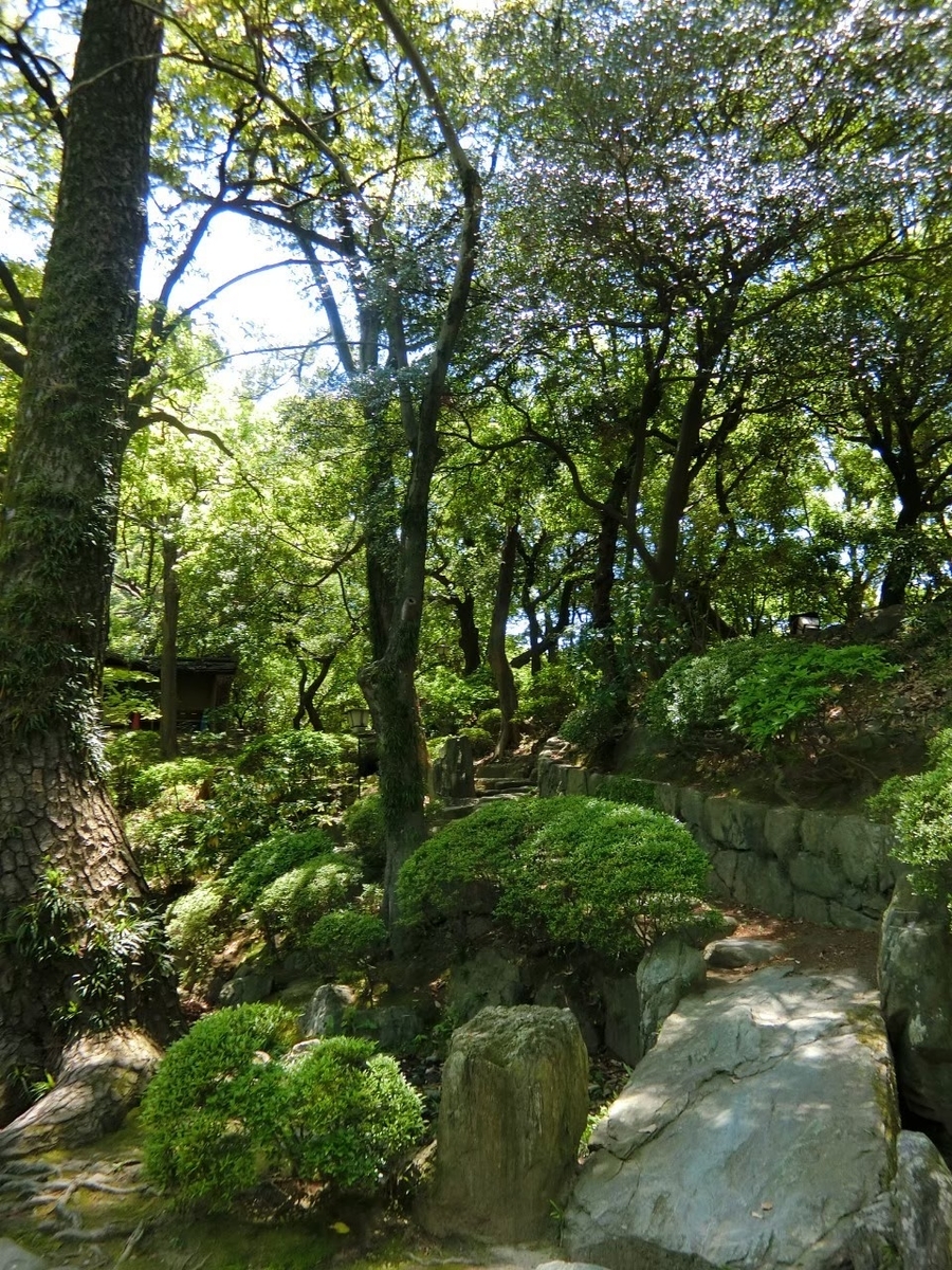 f:id:aringo_travel:20210327225048j:plain