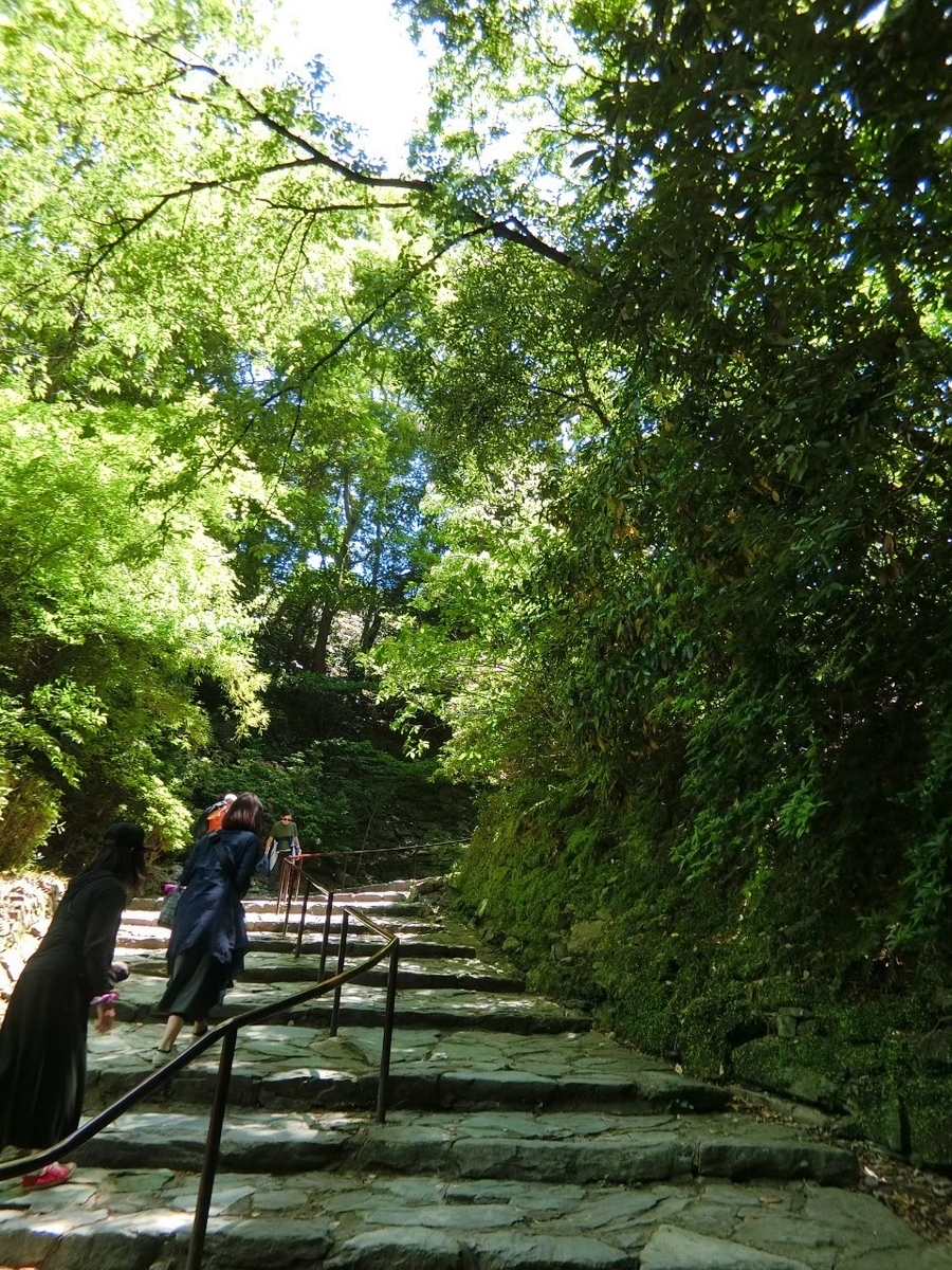 f:id:aringo_travel:20210327225206j:plain