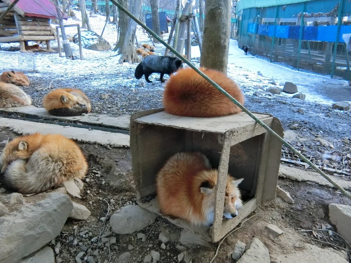 f:id:aringo_travel:20211005171803j:plain