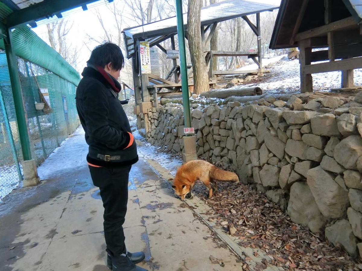 f:id:aringo_travel:20211005172205j:plain