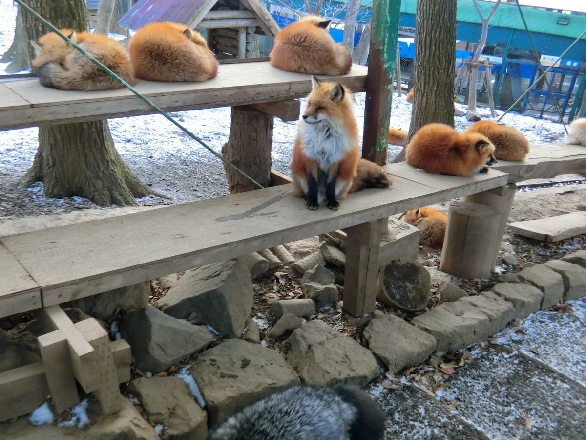 f:id:aringo_travel:20211005172256j:plain