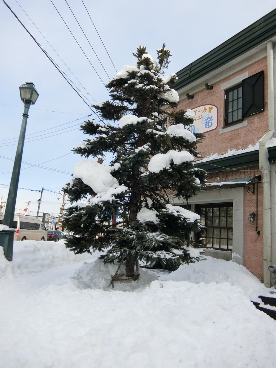 f:id:aringo_travel:20211207170031j:plain