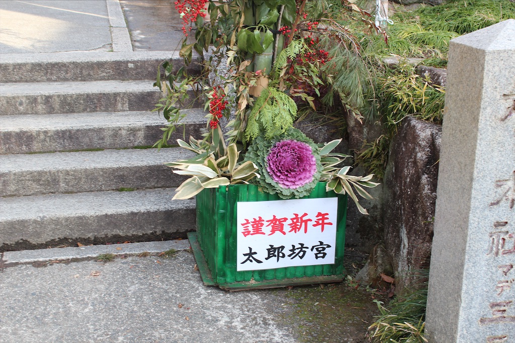 f:id:ariorihaberix:20220109115109j:image