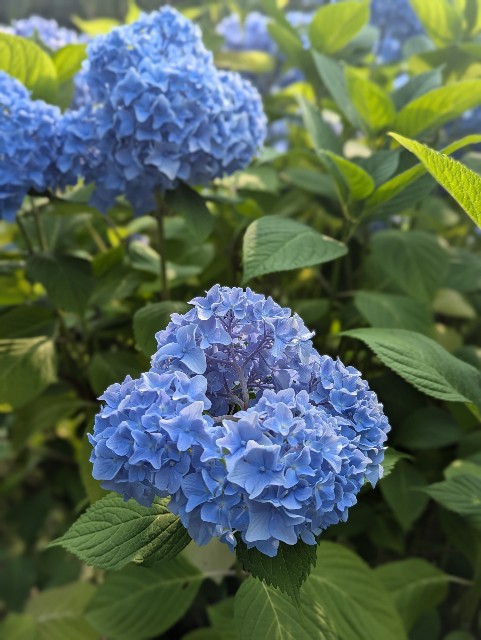 f:id:aririn3:20240725101623j:image f:id:aririn3:20240725101623j:image
