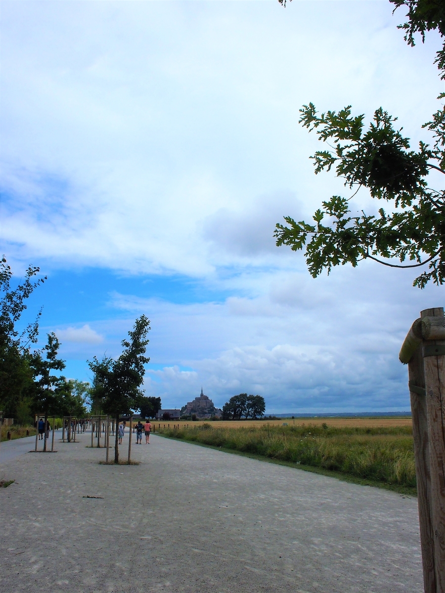 f:id:ariruariru:20190604225445j:plain f:id:ariruariru:20190604225445j:plain