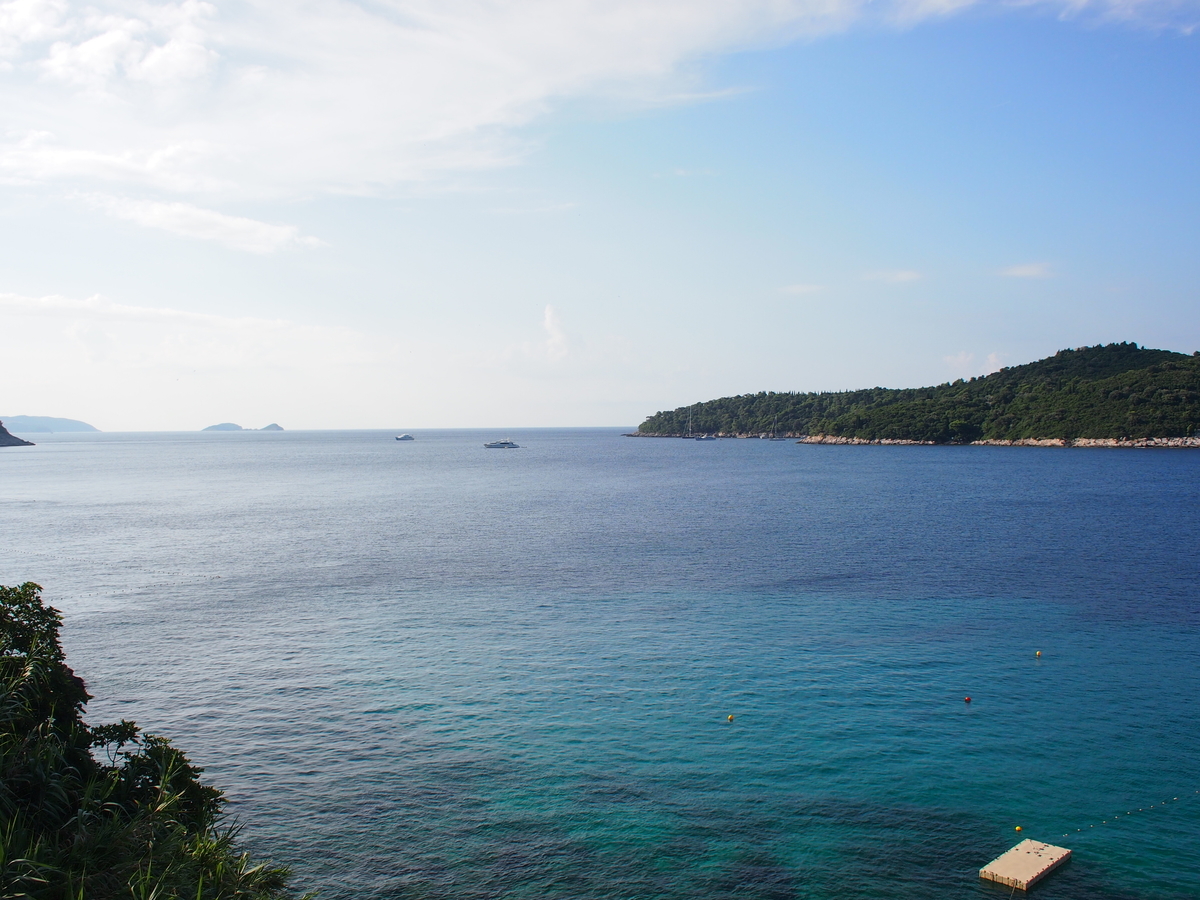 f:id:ariruariru:20200719121313j:plain