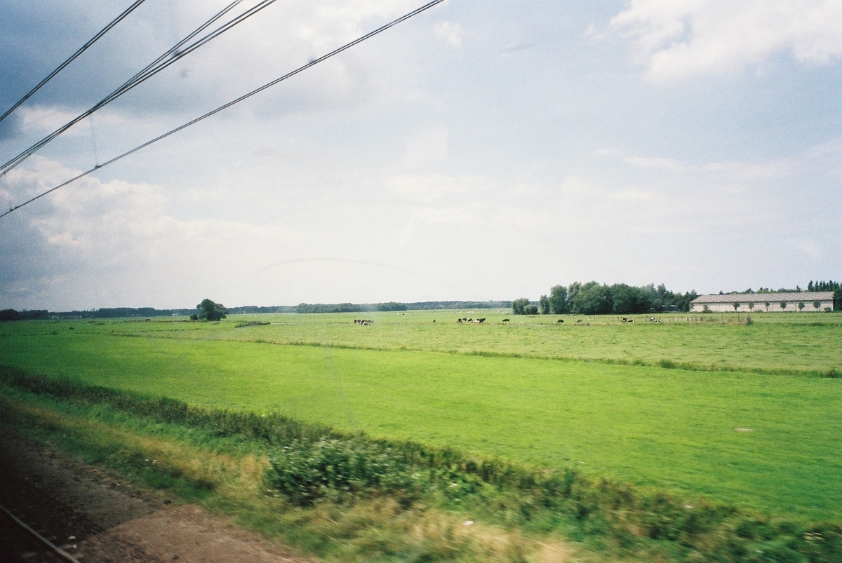 f:id:ariruariru:20200816221219j:plain