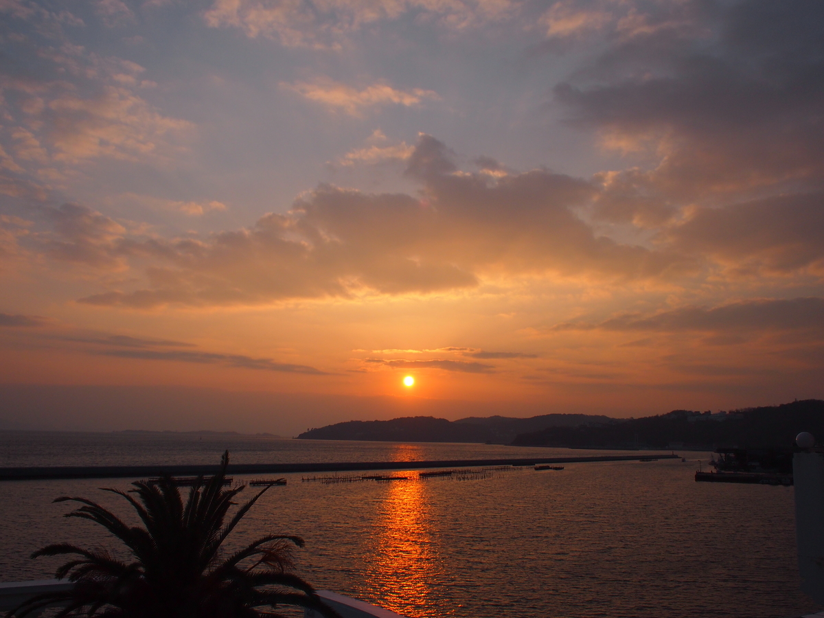 f:id:ariruariru:20200906150655j:plain f:id:ariruariru:20200906150655j:plain