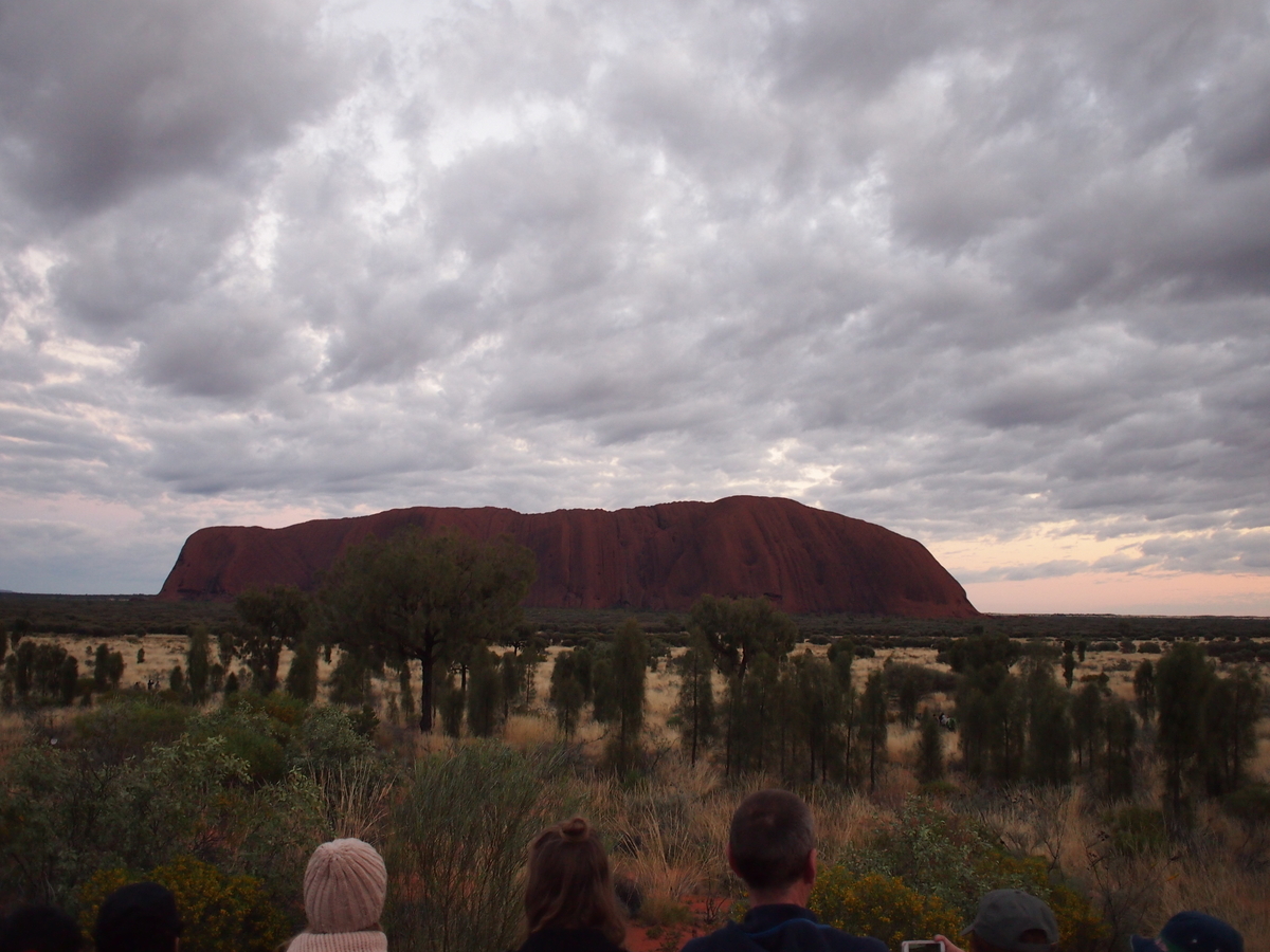 f:id:ariruariru:20201115142054j:plain