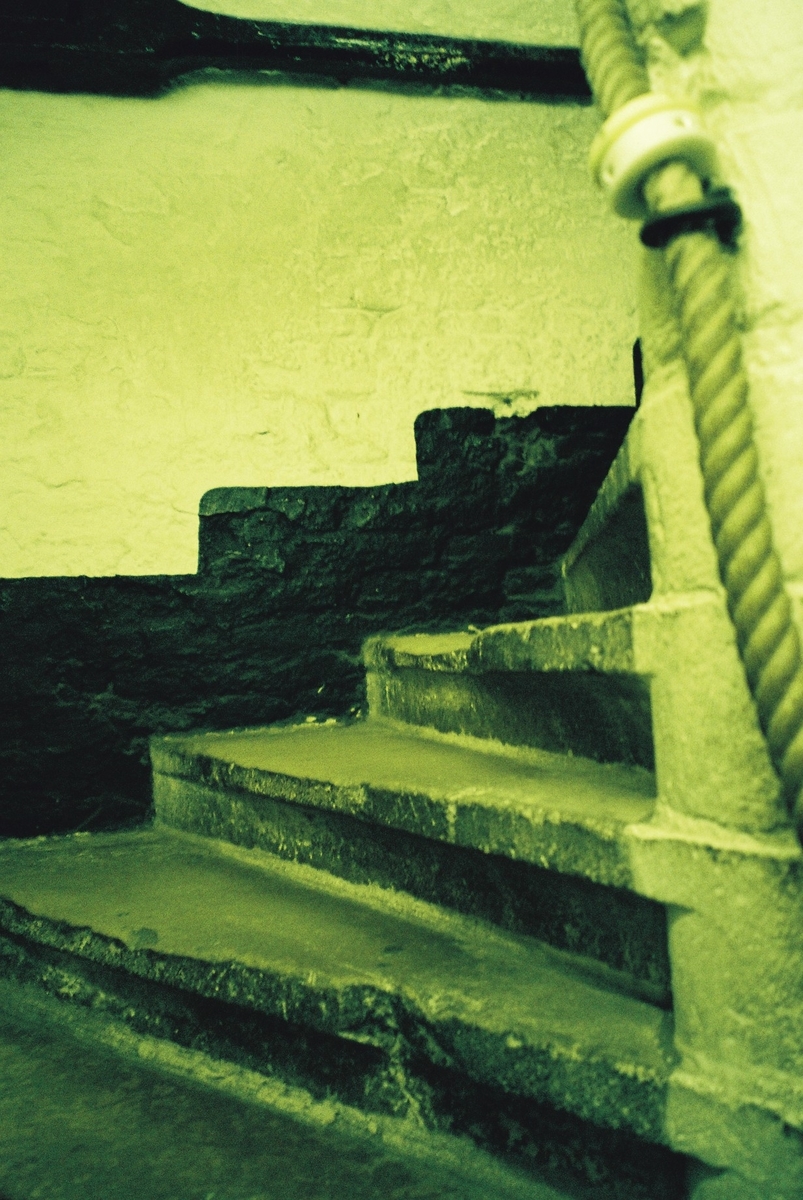 f:id:ariruariru:20201213162003j:plain