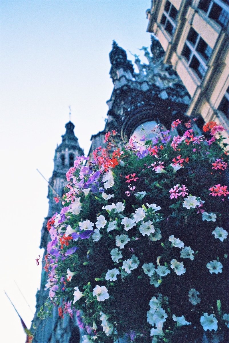 f:id:ariruariru:20201231134332j:plain