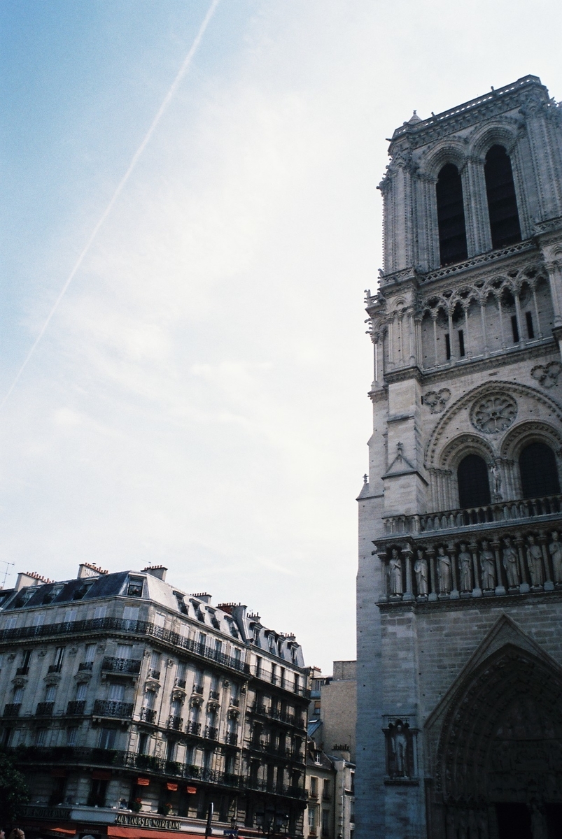 f:id:ariruariru:20210106164754j:plain