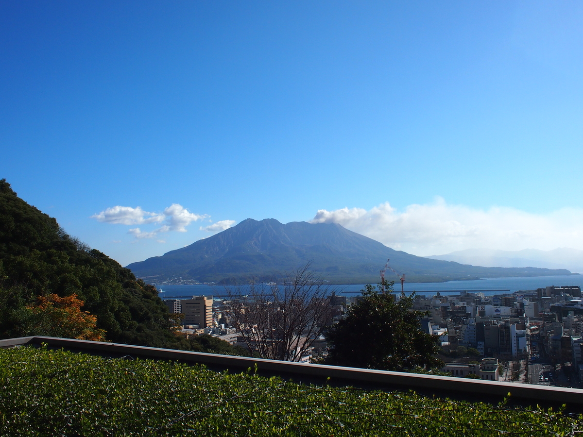 f:id:ariruariru:20210130144642j:plain