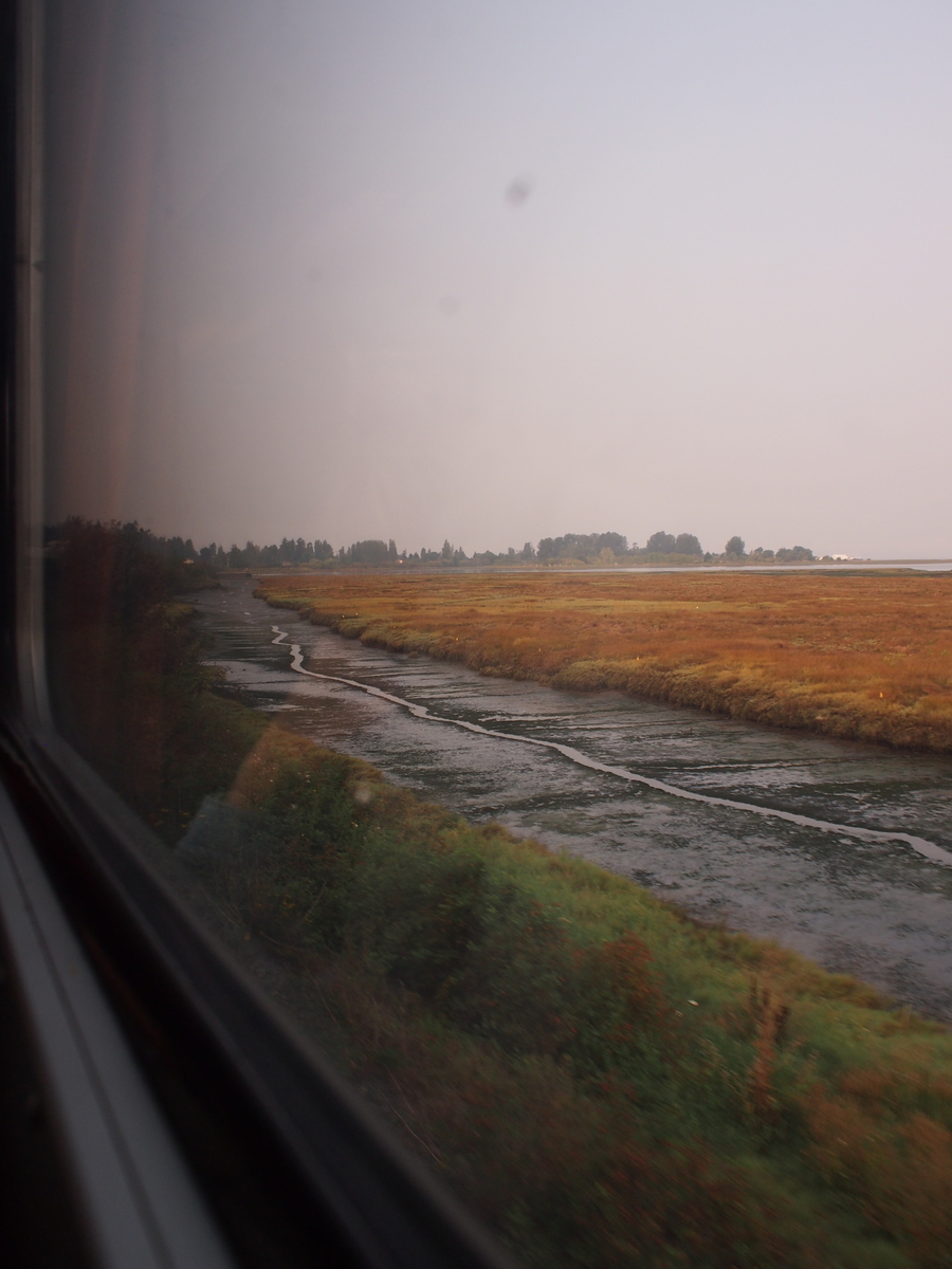 f:id:ariruariru:20210220145438j:plain
