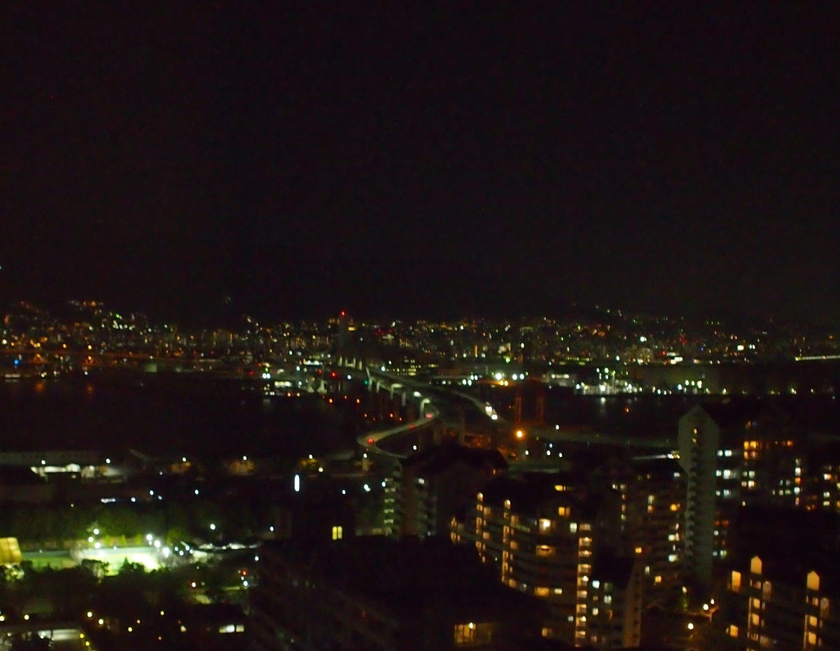 f:id:ariruariru:20210402235609j:plain