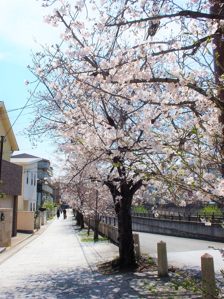 f:id:ariruariru:20210501150506j:plain