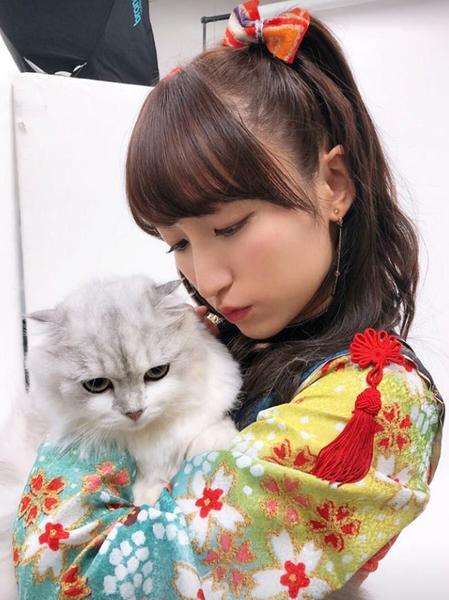 f:id:arisa0016:20191019083304p:plain
