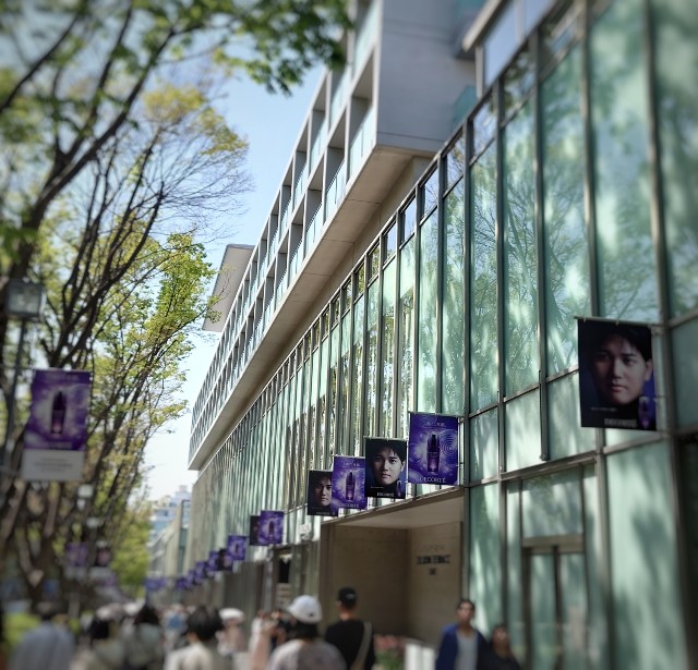f:id:arisamotomachi:20240518040701j:image