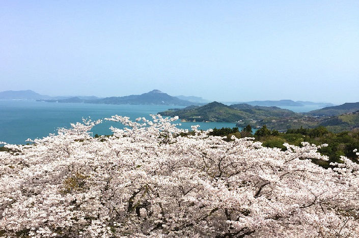 f:id:arisansun:20180401124311j:plain f:id:arisansun:20180401124311j:plain