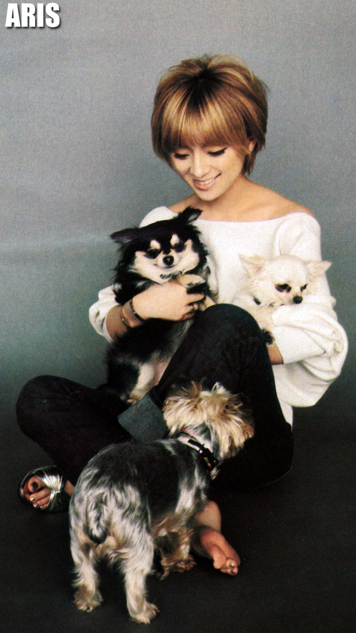 f:id:arisayu:20201004114028j:plain