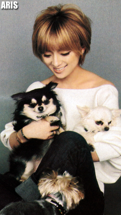 f:id:arisayu:20201004114111j:plain f:id:arisayu:20201004114111j:plain