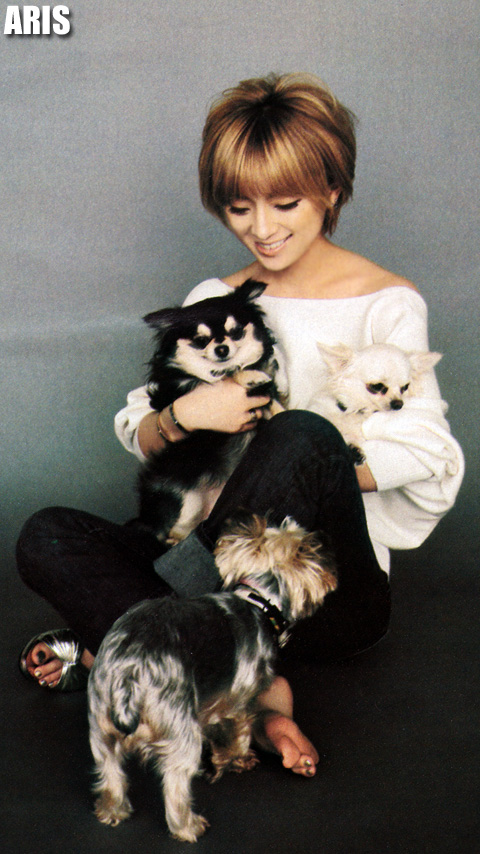 f:id:arisayu:20201004114115j:plain f:id:arisayu:20201004114115j:plain