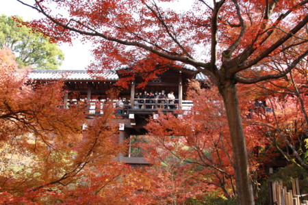 京都紅葉’09②