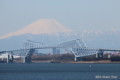 SSコロンビア号デッキから望む富士山