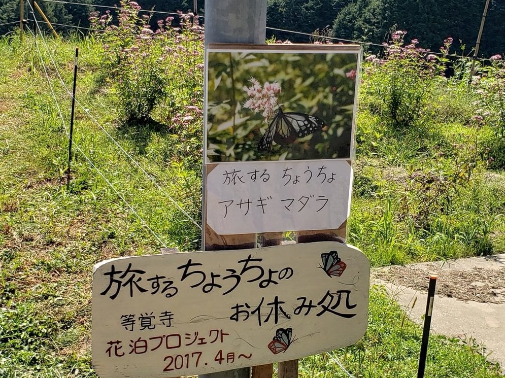 f:id:ariston_kk:20211009163507j:plain