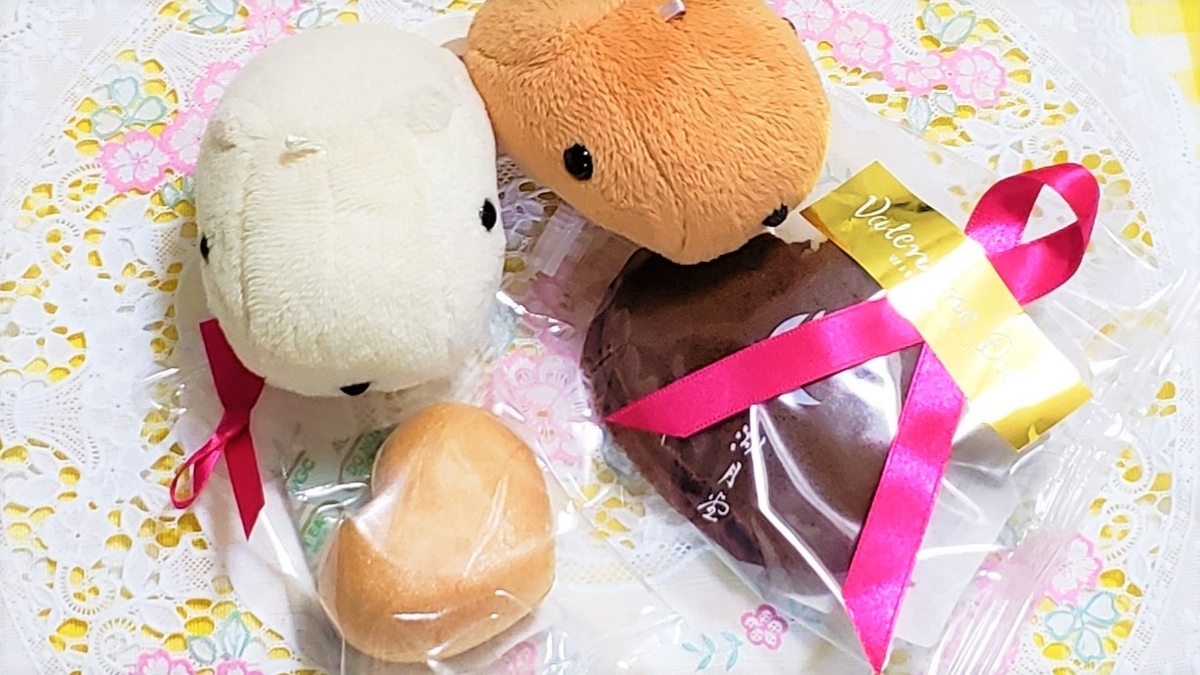 f:id:ariston_kk:20220218180147j:plain