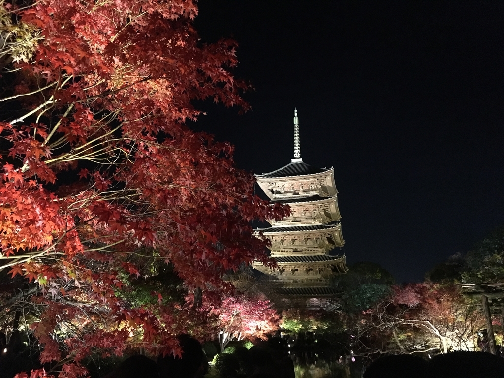 f:id:ariston_kt:20190124194815j:plain f:id:ariston_kt:20190124194815j:plain