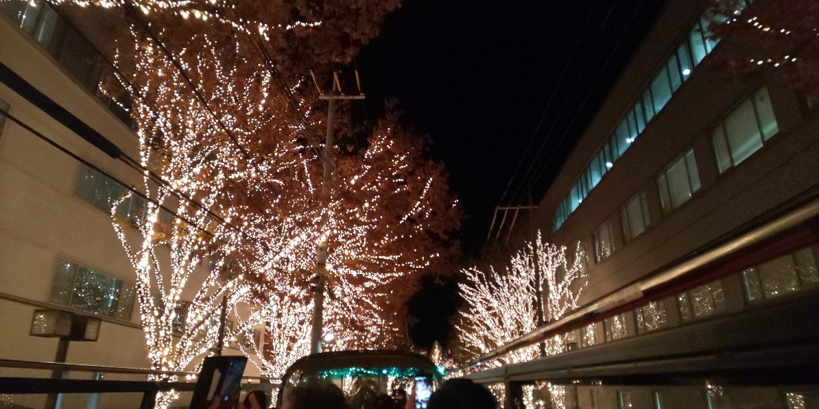 f:id:ariston_kt:20191216174139j:plain f:id:ariston_kt:20191216174139j:plain