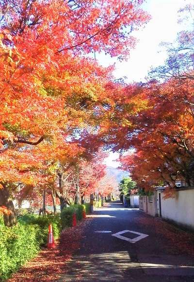 f:id:ariston_kt:20201125164858j:plain