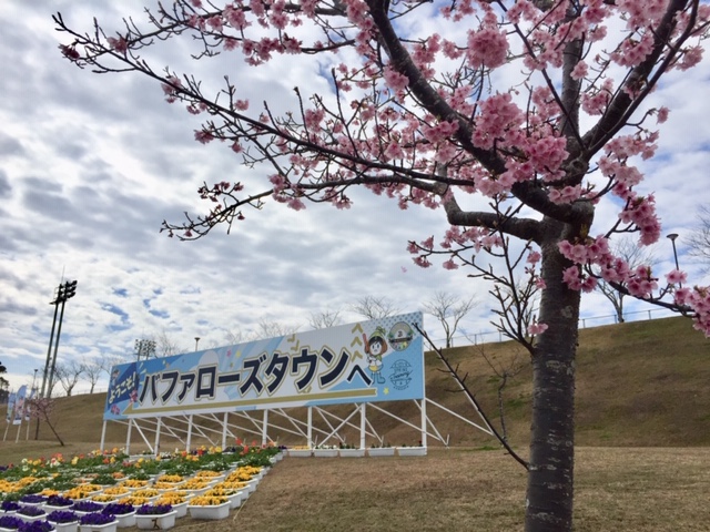 f:id:ariston_mz:20190216150436j:plain