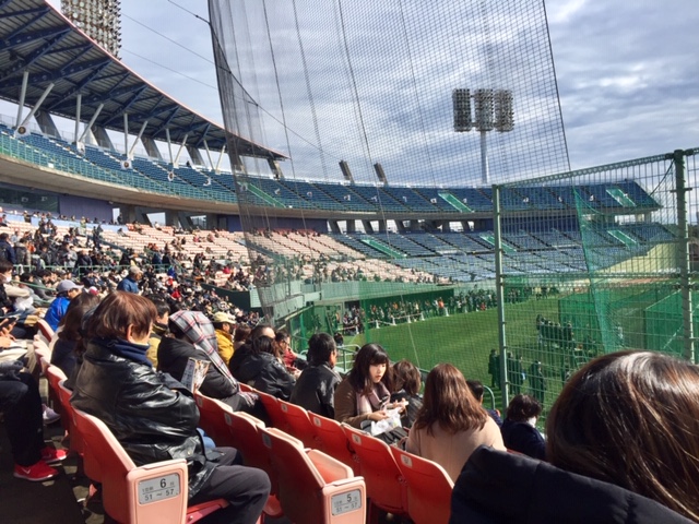 f:id:ariston_mz:20190216150540j:plain