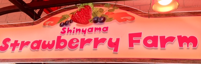 f:id:ariston_mz:20190319122232j:plain