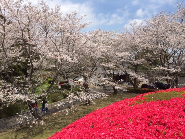 f:id:ariston_mz:20190405093813j:plain