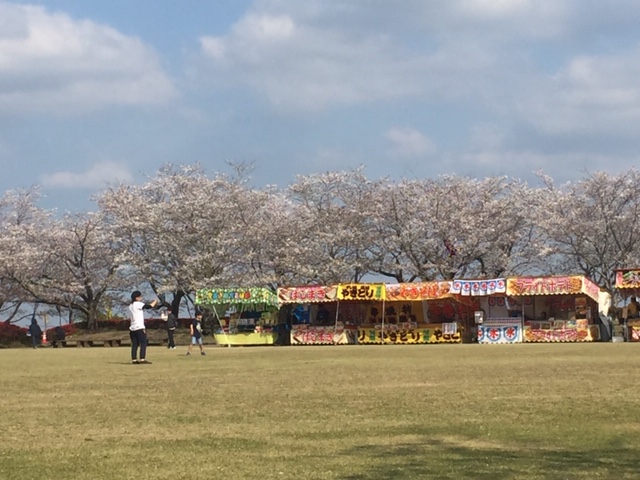 f:id:ariston_mz:20190405093833j:plain
