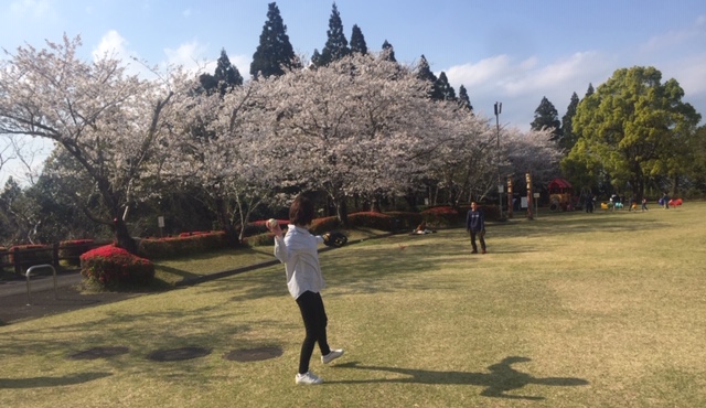 f:id:ariston_mz:20190405093838j:plain