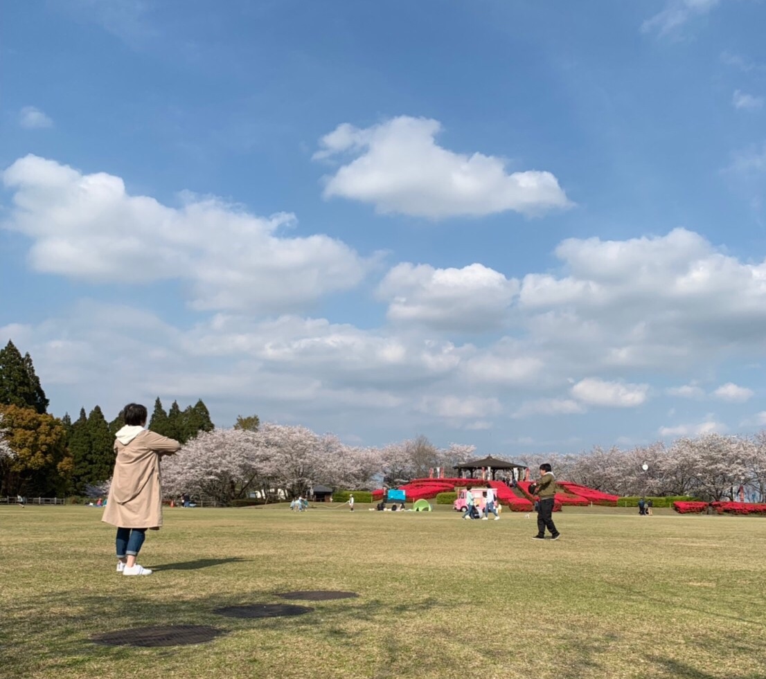 f:id:ariston_mz:20190405093937j:plain