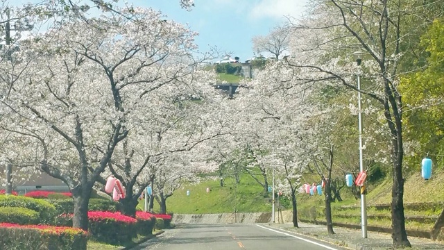 f:id:ariston_mz:20190405093946j:plain