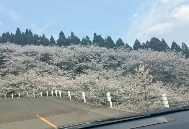 f:id:ariston_mz:20190405093954j:plain