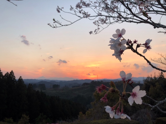 f:id:ariston_mz:20190405100941j:plain