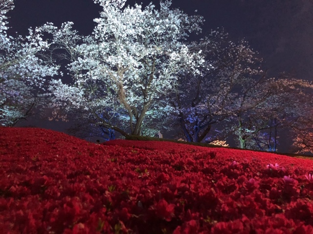 f:id:ariston_mz:20190405101306j:plain