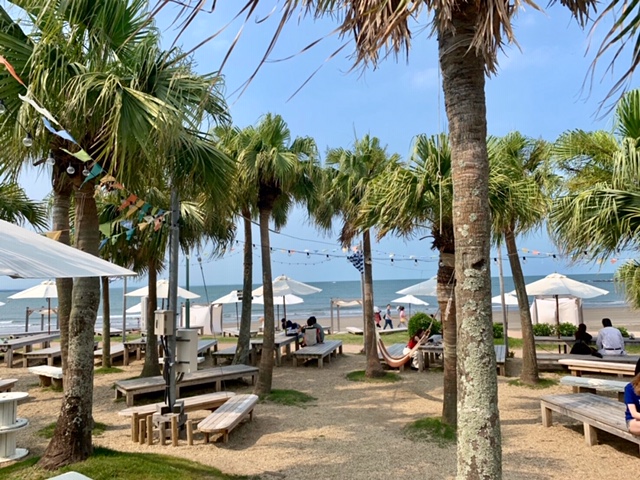 f:id:ariston_mz:20190729182407j:plain f:id:ariston_mz:20190729182407j:plain