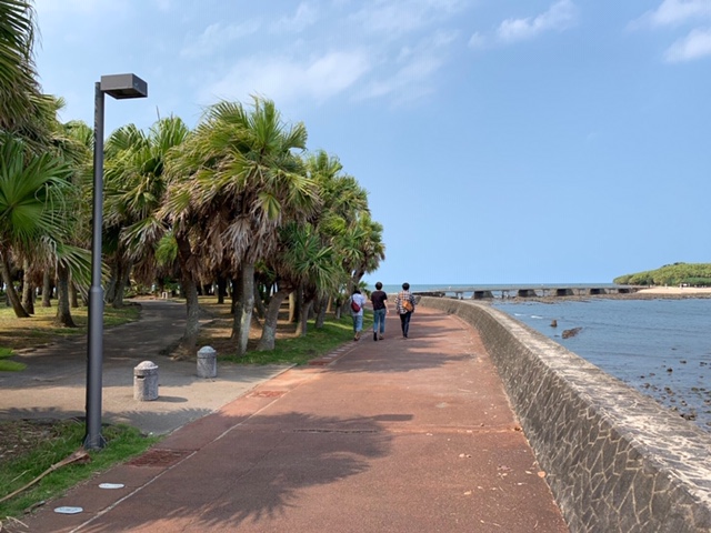 f:id:ariston_mz:20190729182552j:plain f:id:ariston_mz:20190729182552j:plain