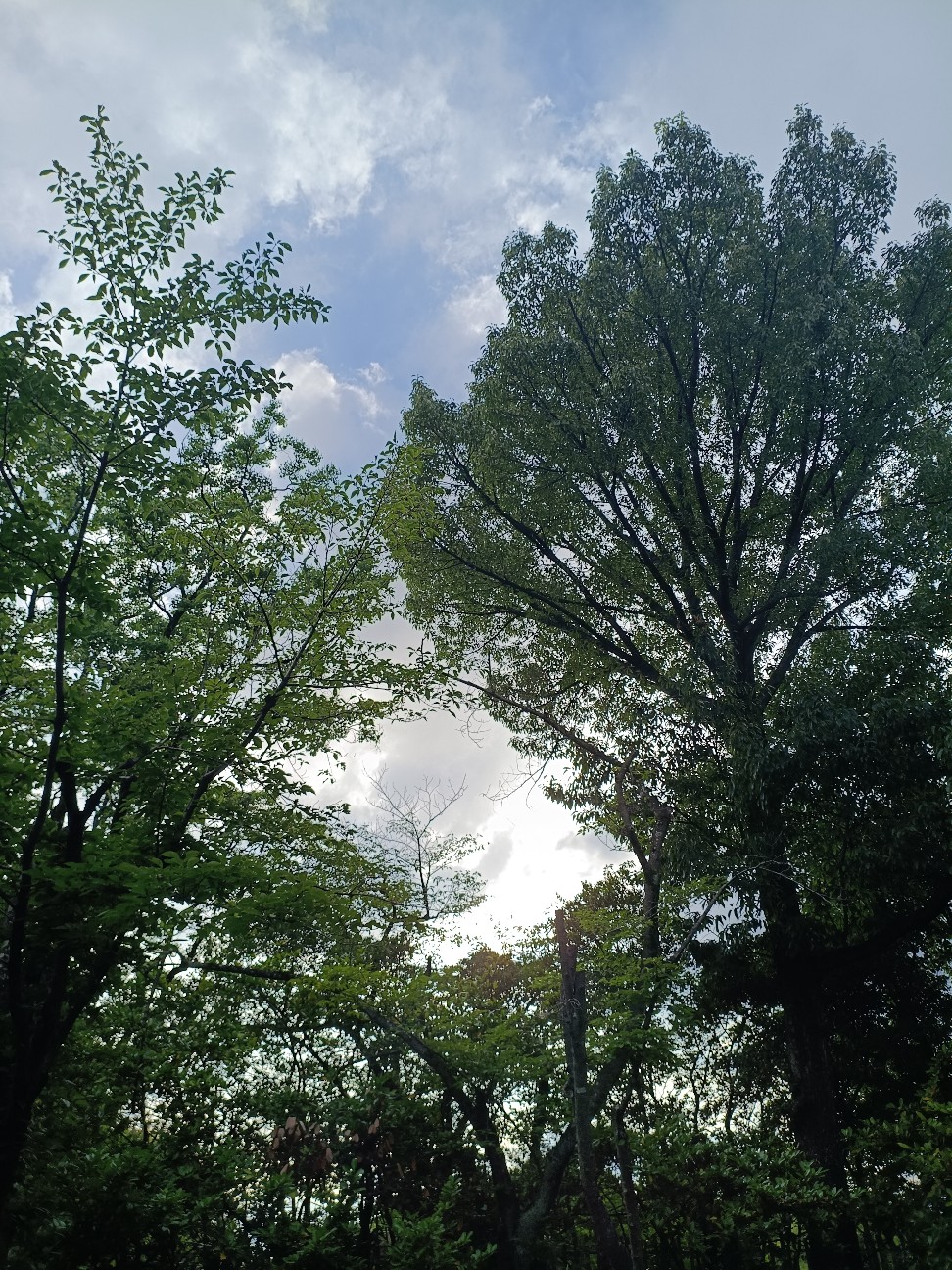 f:id:aristotles200:20260630131549j:image