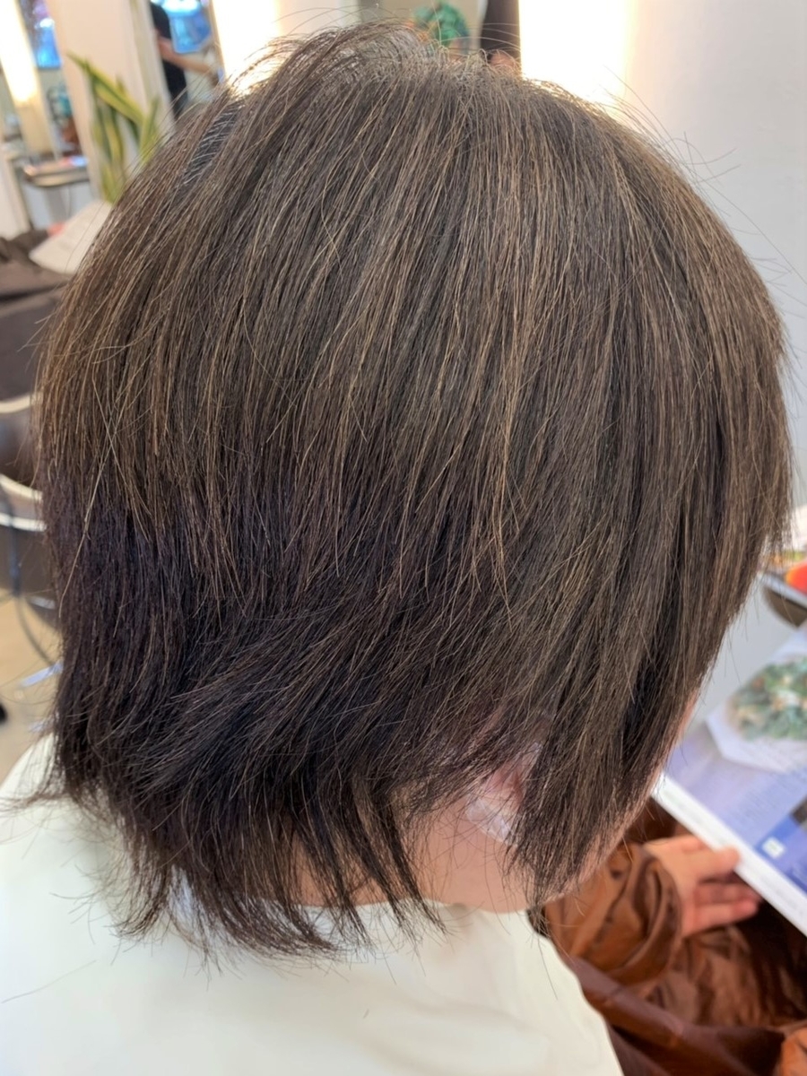 f:id:arisueda:20190601145702j:plain